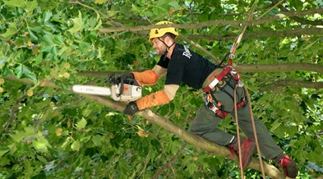 Comment bien choisir son EPI ?